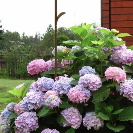 Опора колышки 150